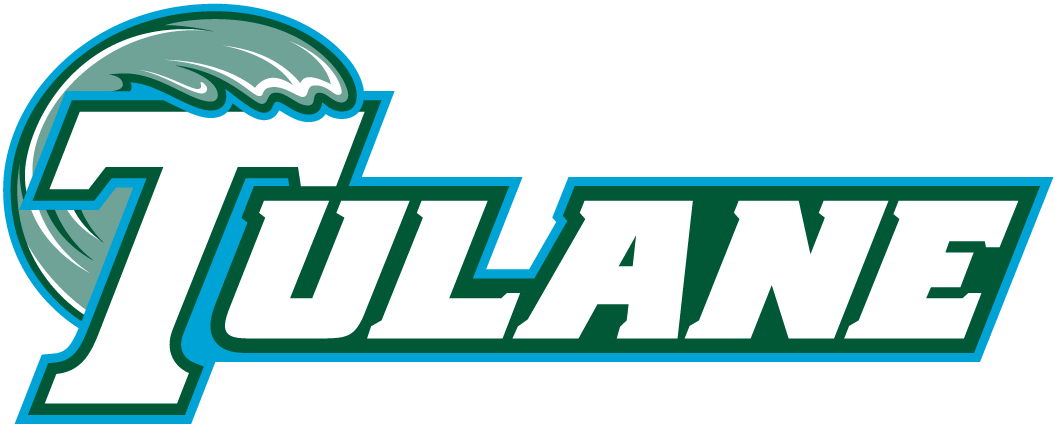 Tulane Green Wave 1998-Pres Wordmark Logo v5 iron on transfers for fabric